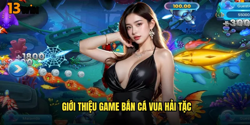 Bắn Cá Vua Hải Tặc 13WIN Trở Thành Thuyền Trưởng Vĩ Đại 2 Giới Thiệu Game Bắn Cá Vua Hải Tặc